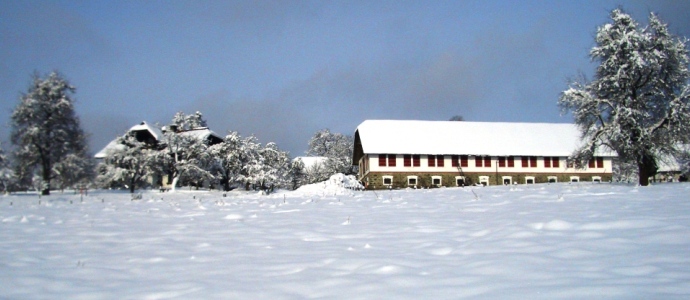 Erlebnis Haus Spiess - Maltschacher See - Im Winter